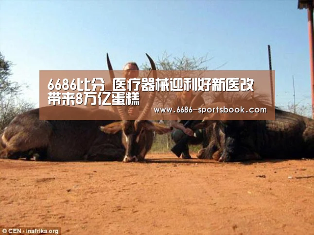 6686比分_医疗器械迎利好新医改带来8万亿蛋糕(图1) 6686导航